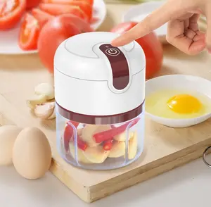 2023 Hot Sale Mini Küchenmaschine Gemüse hacker Knoblauch Fleischwolf Elektrische Multifunktions-Werbung tragbar für Babynahrung