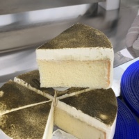 Cortadora Automática de Pasteles Ultrasónica con Sistema Servo para Cortar Porciones de Pastel de Crema, Mousse, Brownie