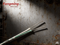 Fongming K-SS-SS Typ Ni-Cr/Ni-Si Thermoelementdraht & -Kabel mit Quarzgeflecht und Silikonharzbeschichtung für Heizanwendungen