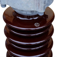 Paratonnerre céramique de haute qualité et économique Y5(10)WZ 110kV 220kV 500kV 750kV pour centrale électrique haute tension extérieure