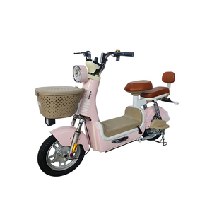 Vélo électrique rose 20 pouces 48V 500W Moteur sans balais Batterie au lithium Écran LCD Frein à disque mécanique - Product Image 1