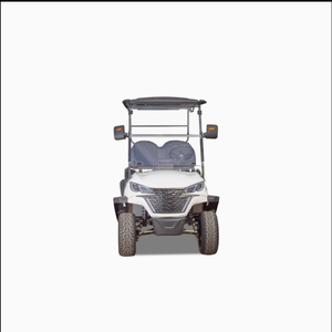 Carrito de Golf Eléctrico Winner-Gc 2s con Velocidad de 24 km/h y Capacidad de Carga de 300 kg para Transporte Marítimo - Product Image 6