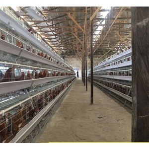 Mejor Diseño de pájaro móvil familia pato pollo jaula de aves de corral de las gallinas <span class=keywords><strong>ponedoras</strong></span> Accesorios - Product Image 6