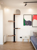 Arbre à chat mural en bois avec étagères, poteau à gratter pour chat, arbre à chat du sol au plafond, grattoir pour chat