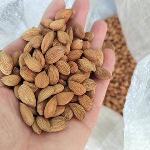 Harga Murah Kacang <span class=keywords><strong>Almond</strong></span> Pasokan Grosir Berkualitas Tinggi dan Bernutrisi - Product Image 3