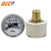 Factory Direct 0-0.25MPa 25mm Mini Stainless Steel Pressure Gauge with Brass Thread M10*1