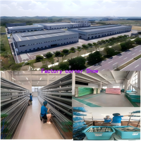 Vente directe usine, personnalisation, boyaux de porc naturels séchés pour saucisses, hot-dogs, jambon, emballage en boîte, qualité A