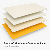 Panneau composite en aluminium ACP ACM résistant au feu, argent brossé personnalisé, pour mur extérieur de villa