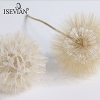 Décoration de mariage, grande herbe séchée naturelle, fleur de pissenlit géante blanche