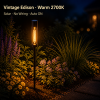 Lampe solaire vintage à filament Edison pour jardin, 12 cm, 2700K, 15LM, tube transparent, pour pelouse, parterre de fleurs, aménagement paysager extérieur