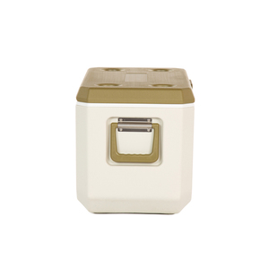 Nevera Portátil de Gran Capacidad de 47L para la Playa, Fácil de Transportar - Product Image 4