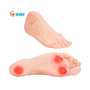 Model Pelatihan Perawatan Kaki Glycuresis Ilmu Kedokteran Model Kaki Manusia Penyakit Diabetes Kaki - Product Image 1