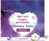 Culottes Menstruelles Jetables pour Femmes, Anti-fuite, Absorbantes, Respirantes, Sûres et Hygiéniques à Prix de Gros Économique