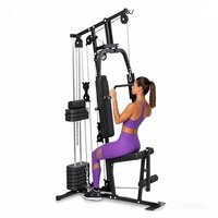 Multil Function Exercise Fitness Equipment Réglable Home Gym Assis Straight Arm Clip Mutli Function Station Gym Trainer