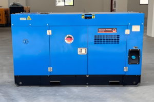 מפעל דיזל באיכות גבוהה 200kw 250kva סופר שקט סוג המתנה למינה כוח דיזל מחולל סט - Product Image 4