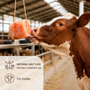 Brique de sel rose naturel <span class=keywords><strong>pour</strong></span> animaux, bloc de sel à lécher <span class=keywords><strong>pour</strong></span> bovins, moutons, <span class=keywords><strong>chevaux</strong></span>, élevage de bétail - Product Image 1
