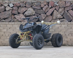 <span class=keywords><strong>Precio</strong></span> Directo de Fábrica en China: ATV Eléctrico de 72V 8000W para Adultos, Motocicleta Todoterreno con Transmisión por Eje, Cuatrimoto Barata en Venta - Product Image 3