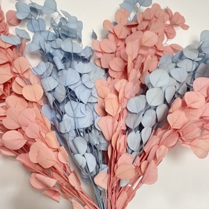 Paquete blanqueado de calidad AA de grado <span class=keywords><strong>eucalipto</strong></span> seco blanco rosa <span class=keywords><strong>azul</strong></span> <span class=keywords><strong>eucalipto</strong></span> de dólar de plata preservado para arreglo floral - Product Image 1