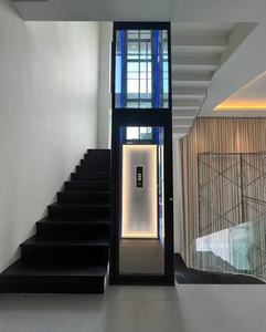 Thang máy thủy lực nhà 1-5 Tầng công suất lớn thang máy hộ gia đình thang máy không hộp số thiết kế hiện đại thang máy dân cư - Product Image 2