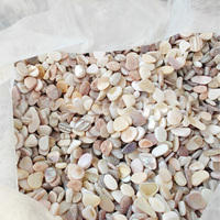 Vente en gros de copeaux de fibre de verre JUESHUI pour terrazzo, résine, artisanat, aménagement paysager et décoration de piscine