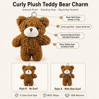 Porte-clés en peluche personnalisé en usine, ours en polaire Teddy, logo OEM personnalisé, breloque de sac en peluche de 11 cm, cadeau du Nouvel An CUIMORAH
