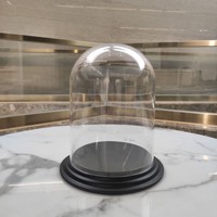 Miico VE-10 Boîte de rangement transparente en acrylique anti-poussière pour collection, vitrine et comptoir