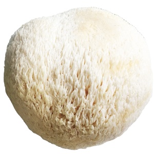 Champignons crin de <span class=keywords><strong>lion</strong></span> séchés comestibles de qualité supérieure Detan - Product Image 1