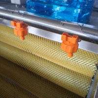 Machine à éplucher les pommes de terre et le taro Platycodon Grandiflorum, machine à laver les légumes, brosse à rouleaux, éplucheur SUS304 pour ligne de production de frites