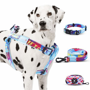 Sovan <strong>Dog</strong> Collar Leash Set Adjustable Lightweight Eco-Friendly Textile Pet Harness Fashion Comfortable No Pull Leash Small - Product Image 5