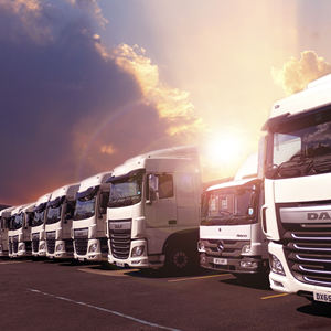 Approvvigionamento Yiwu <span class=keywords><strong>Market</strong></span> 1688 <span class=keywords><strong>Taobao</strong></span> Dropshipping Poizon Pinduoduo Shopping Online Cina per Categoria Merceologica LCL+Trasporto su Camion - Product Image 5