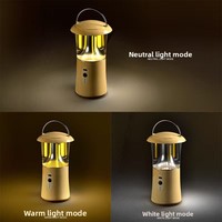 Lampe de camping portable à filament de tungstène pour l'extérieur, lampe de camping LED multifonctionnelle rechargeable avec éclairage longue durée