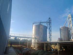 Silo vertical para maíz de 1000 toneladas, silo para granos al aire libre con ensamblaje atornillado de acero galvanizado - Product Image 5