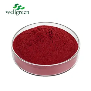 Wellgreen CAS 502-65-8 chăm sóc sức khỏe 5% 10% tự nhiên Lycopene bột