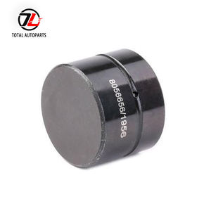 Taqués Hidráulicos, Taqué de Válvula OEM 038109309C 038109309A 038109309B 038 109 309 C Compatible con V-W SE-AT Sko-da 1.9 2.0 TDI - Product Image 4