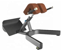 Chaise romaine de haute qualité avec extension de dossier Chaise romaine commerciale avec banc d'extension de dossier à 45 degrés