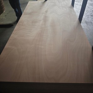 Linyi Xinger di alta qualità 12mm 15mm fenolicwbp Okoume compensato marino eucalipto per esterni - Product Image 1