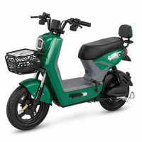 Vélo électrique brésilien EBIKE 48V 20Ah 500W à moteur sans balais, mini vélo électrique avec freins à disque hydrauliques, vente chaude