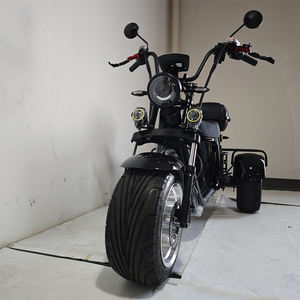 Tricycle électrique motorisé pour adultes, moto à 3 roues, <span class=keywords><strong>vélo</strong></span>, véhicules 2000w, <span class=keywords><strong>taxi</strong></span>, motos électriques, trike scooter - Product Image 1
