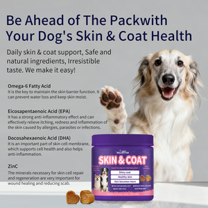 OEM Private Label Health Care Nutritional Pet Supplement Wholesale Organic Natural Skin Coat Dog Supplements Soft <strong>Chews</strong> - Product Image 2