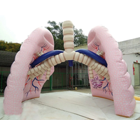 Poumons gonflables géants en PVC personnalisés avec modèle de tube pulmonaire pour l'enseignement et l'affichage