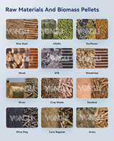 Ligne de production de granulés de bois haute capacité pour les sociétés forestières russes, produisant du carburant de qualité export à partir de déchets