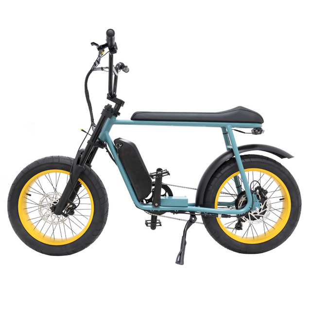 Electrically Mountain Fatbike Eu 20inch Fat Tire Ebike