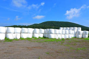 ฟิล์มห่อหญ้าแห้งชนิด LLDPE สำหรับการเกษตร  ยึดเกาะได้ดีเยี่ยม - Product Image 6