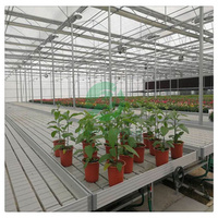 Équipement agricole : Système de culture vertical haute performance pour semis, serre hydroponique d'intérieur avec bacs ABS 4x8
