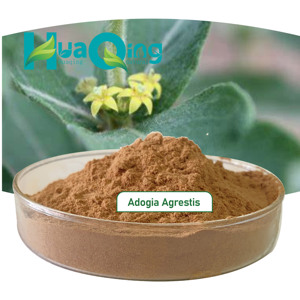 AdogiaエキスFadogia AgrestisステムパウダーFadogia Agrestis - Product Image 2