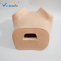 Modèle d'examen gynécologique avancé / pour la formation aux examens bimanuels et rectovaginale, avec col de utérus interchangeable et placement d'DIU