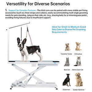 डीलक्स भारी शुल्क इलेक्ट्रिक उठाने वाले कुत्ते की मेज ऊंचाई समायोज्य विरोधी पर्ची टेबलटॉप अधिकतम 400lbs बड़े पालतू कुत्तों के लिए 400lbs - Product Image 4