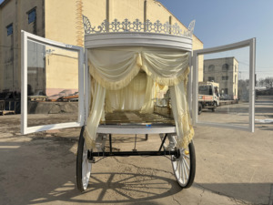 Cercueil funéraire de luxe sculpté, voiture funéraire/vente chaude, voiture funéraire électrique au prix d'usine - Product Image 4