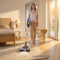Aspirateur balai sans fil Cyclone, moteur sans balais, HEPA, humide/sec, sans sac, pour maison, voiture, hôtel, OEM CE