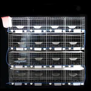 Gabbia per uccelli in ferro per pappagalli Lovebird House Cockatiel Basket gabbie per piccioni gabbia per uccelli - Product Image 3